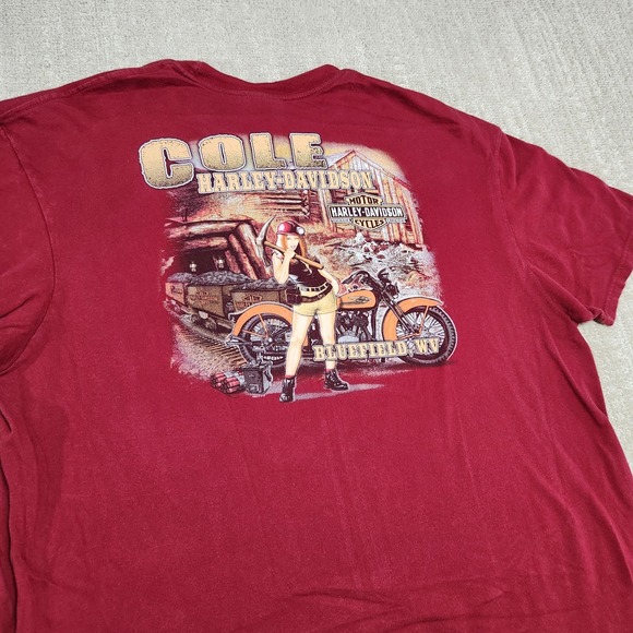 Harley-Davidson Other - Harley Davidson Shirt Men 2XL Motorcycle Women Biker Chick Y2K Grunge